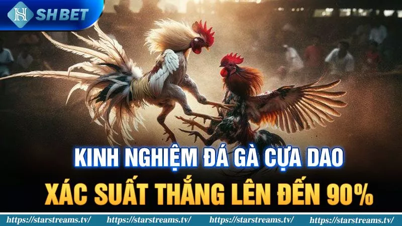 Bí quyết xây dựng một trang web game hàng đầu và danh tiếng xuất sắc của nó - Awin68
