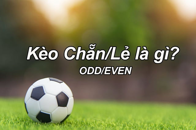 Trang web đạt chuẩn 789Bet, một trang web chơi game đáp ứng các tiêu chuẩn quốc tế - 789Bet