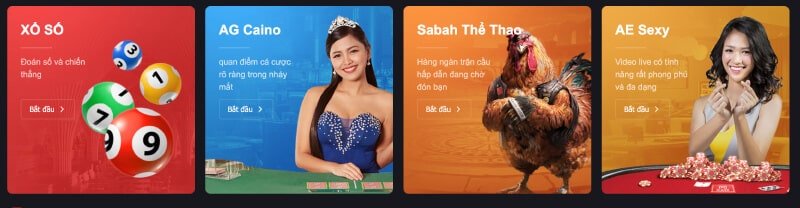 Quy trình nạp/rút tiền của Dewabet rất nhanh chóng - Dewabet