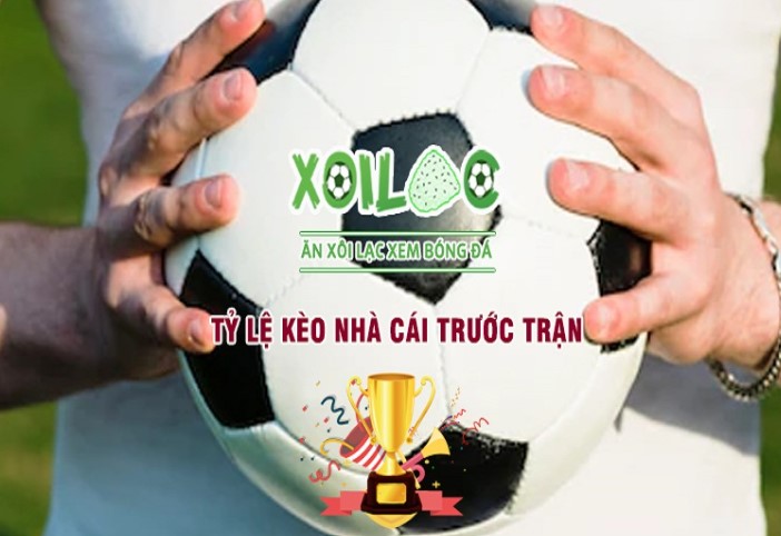 Tính năng đặc biệt 79King - 79King