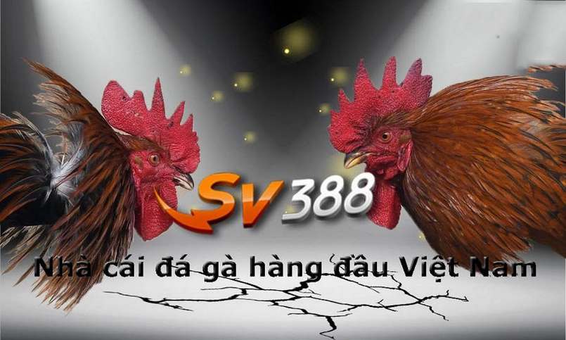 Thông tin đăng nhập thành viên Hi888 - Hi888