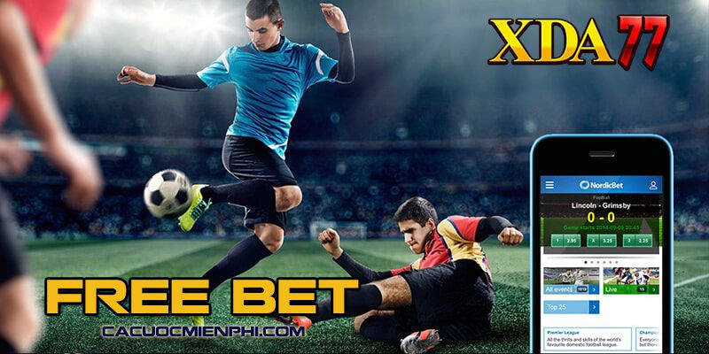 Một loạt các sản phẩm đạt chuẩn 911Win - 911Win