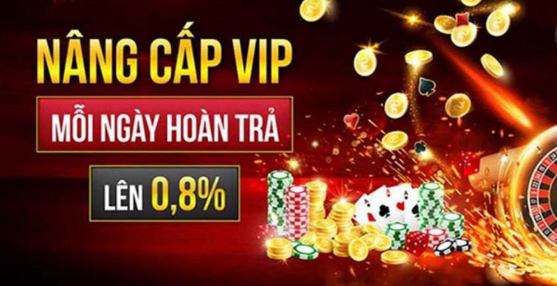 Tin tức và lời khuyên VIP của P3bet - P3bet