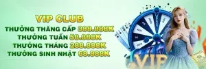 Nội dung chưa được giải mã ở định dạng Sbotop - Sbotop