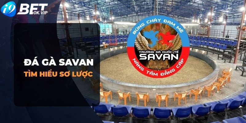 Giao dịch nạp và rút tiền nhanh chóng Kuwin - Kuwin