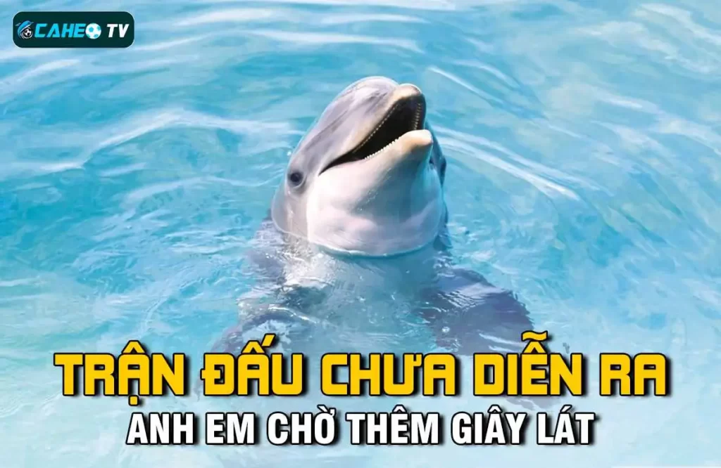 Tôi có thể liên hệ với bộ phận hỗ trợ khách hàng của Mn88 bằng những cách nào? - Mn88