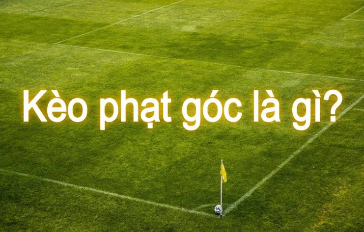Một công ty game đã chấm điểm Benbet cho dịch vụ chăm sóc khách hàng của sản phẩm này - Benbet