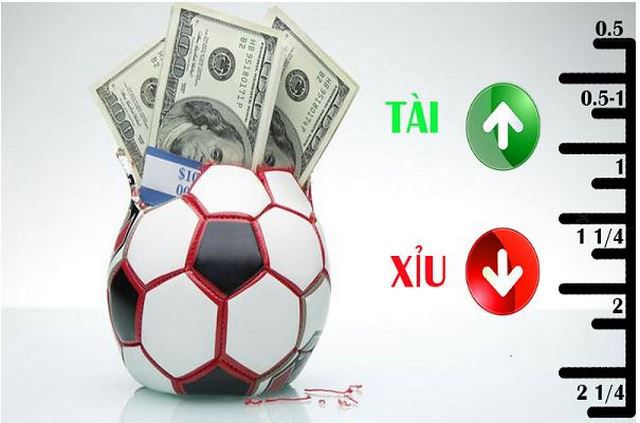 Dưới đây là các bước đơn giản nhất để tải xuống ứng dụng Kuwin - Kuwin